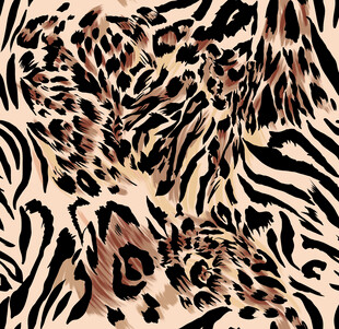 豹纹