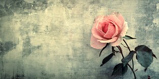 复古背景中的粉色娇艳玫瑰