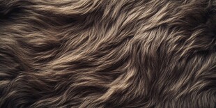 柔软蓬松的棕色毛绒纹理