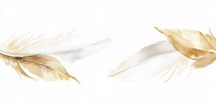 水彩羽毛装饰画