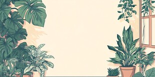 室内绿植角落