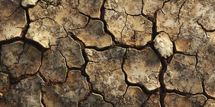 干裂土地纹理特写