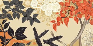 花卉树木插画 色彩丰富