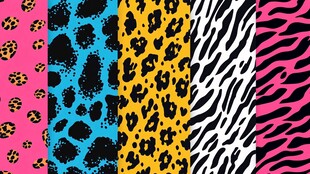 多彩动物纹图案集合