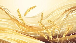 金色麦浪 丰收的诗意画卷