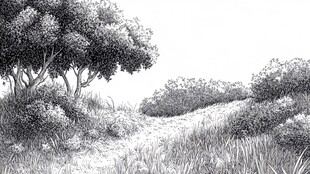 山间幽径树木丛生景象