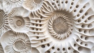 精致螺旋纹理艺术图案