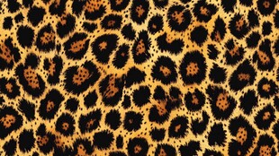 豹纹图案纹理背景图
