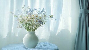 窗边花瓶中的清新小雏菊