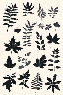 多样树叶剪影素材集合