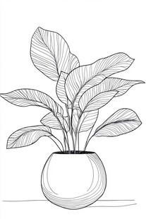 简约盆栽线条画