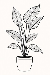 简约盆栽植物黑白插画