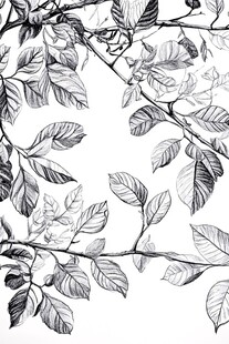 黑白枝叶手绘插画
