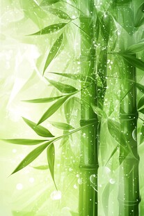 清新翠绿竹林背景图