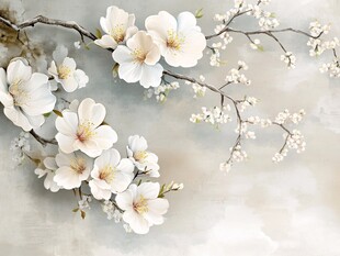 洁白杏花绽放枝头