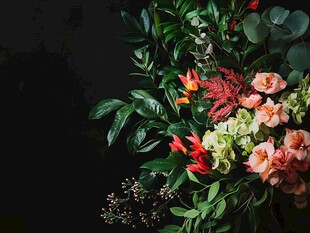 多彩花卉绿植组合装饰