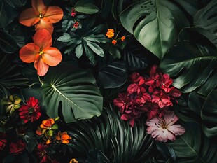 缤纷花卉与葱郁绿叶