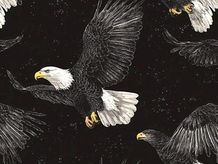 翱翔的白头鹰无缝图案