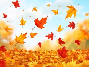 秋日枫叶纷飞的美丽景象