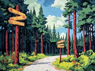 森林小径上的方向指示牌