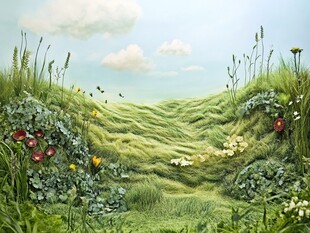 梦幻绿野花草烂漫美景