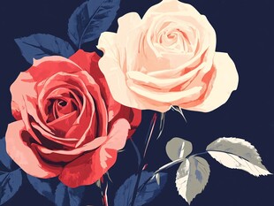 双生玫瑰 浪漫花卉插画