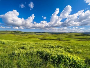 草原蓝天美景如画