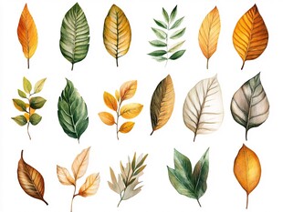 多彩手绘秋叶集合