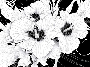 黑白线条绘就的精致花卉