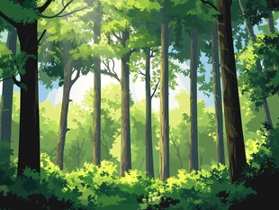 阳光照耀下的静谧森林