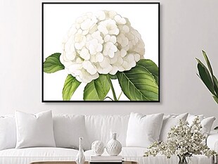 白绣球花卉装饰画
