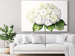 白绣球装饰画装点简约客厅