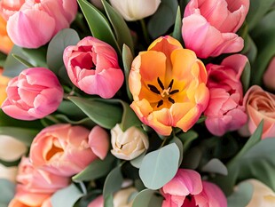 多彩郁金香花束特写