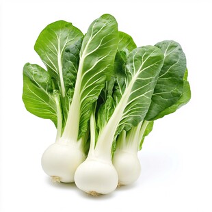 新鲜奶白菜 嫩绿又饱满