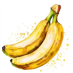 水彩画中的两根成熟香蕉