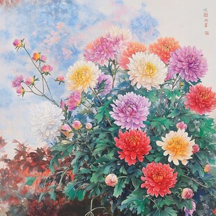 多彩菊花绽放图