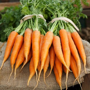 新鲜胡萝卜束 田园好食材