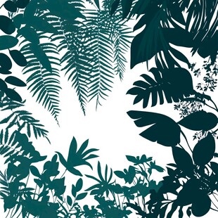 热带植物剪影边框图案