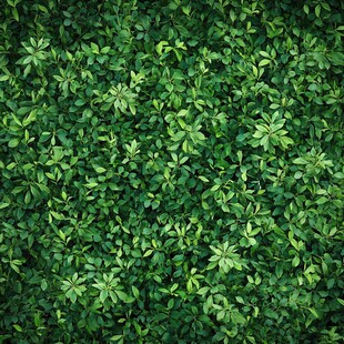 翠绿繁茂的植物墙背景