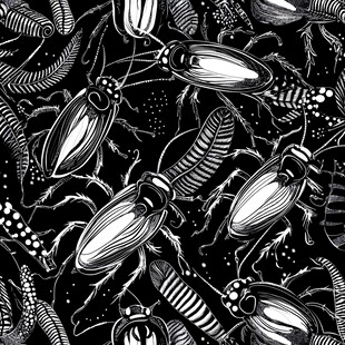 黑白昆虫图案背景设计