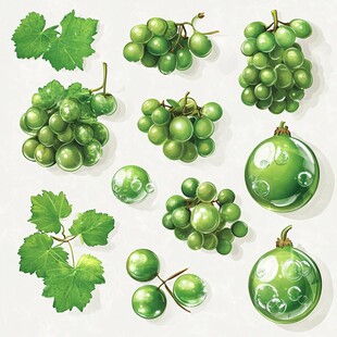 清新绿葡萄及叶片插画集