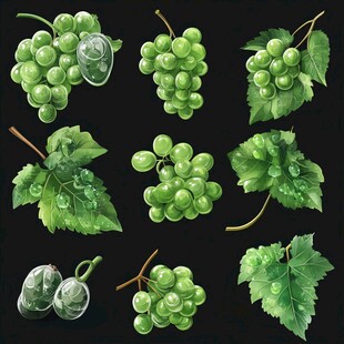 青葡萄与绿叶插画素材