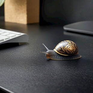 桌上蜗牛 静谧中的微观景象