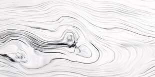 黑白水墨纹理抽象艺术图