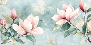 淡粉玉兰花枝水彩插画