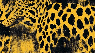 黄色豹纹图案艺术画作