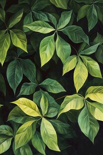 绿叶繁茂的生机景象