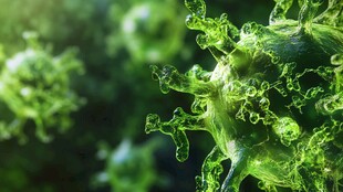 微观绿色病毒细胞形态展示