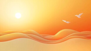 夕阳下的沙漠与飞翔飞鸟