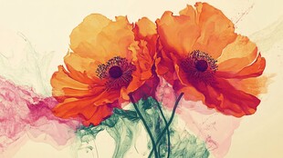 橙艳罂粟花水彩艺术画